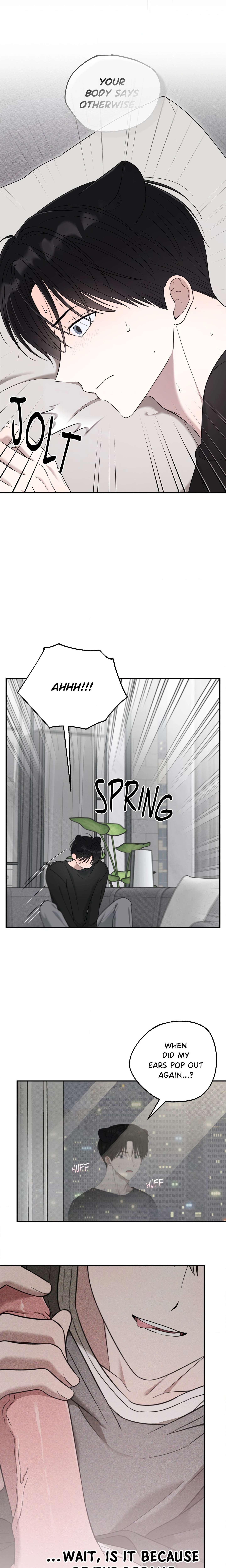 The Purrfect Mat Page 17 - MangaHe