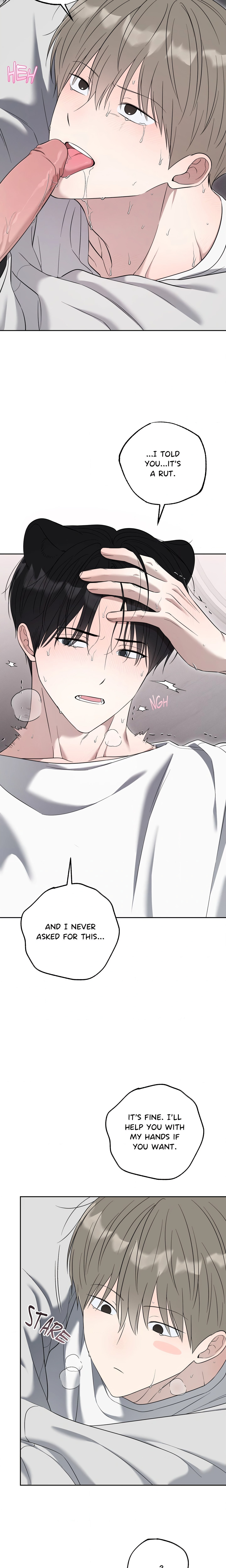 The Purrfect Mat Page 13 - MangaHe