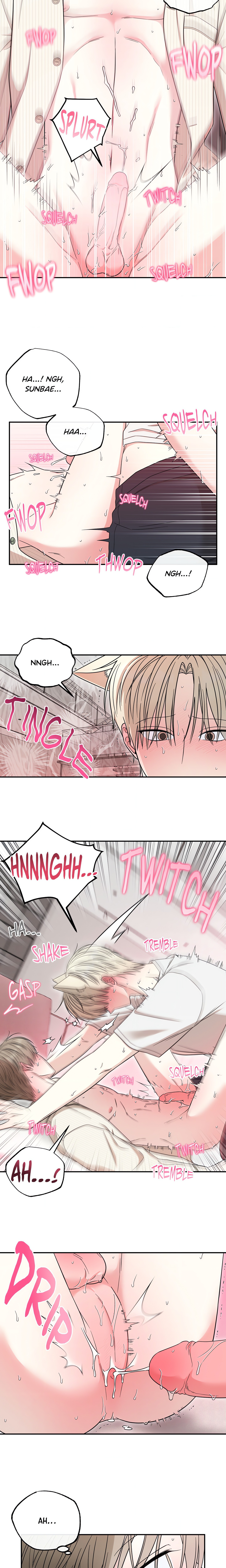 The Purrfect Mat Page 18 - MangaHe