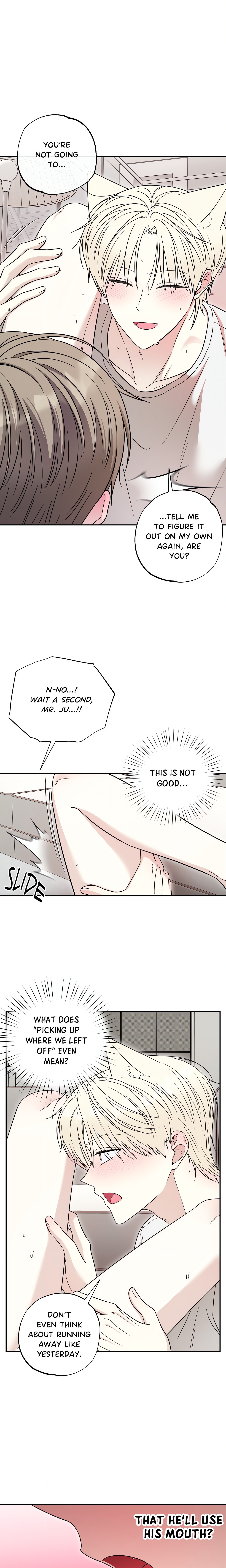 The Purrfect Mat Page 3 - MangaHe