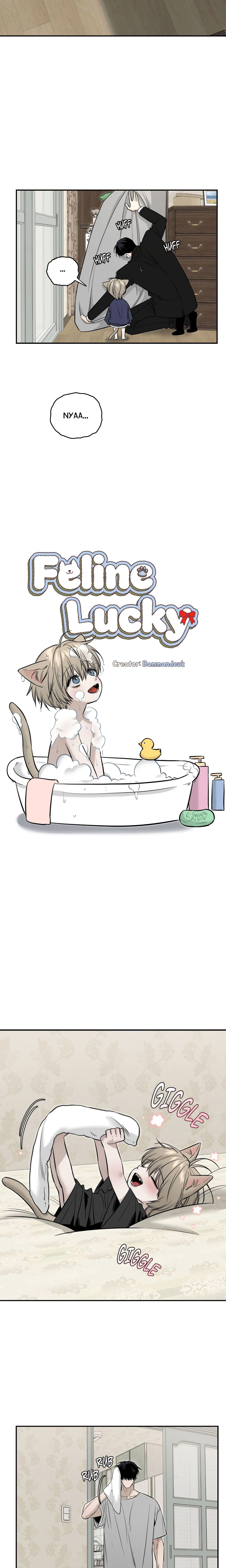 Feline Lucky (Uncensored) Page 7 - MangaHe