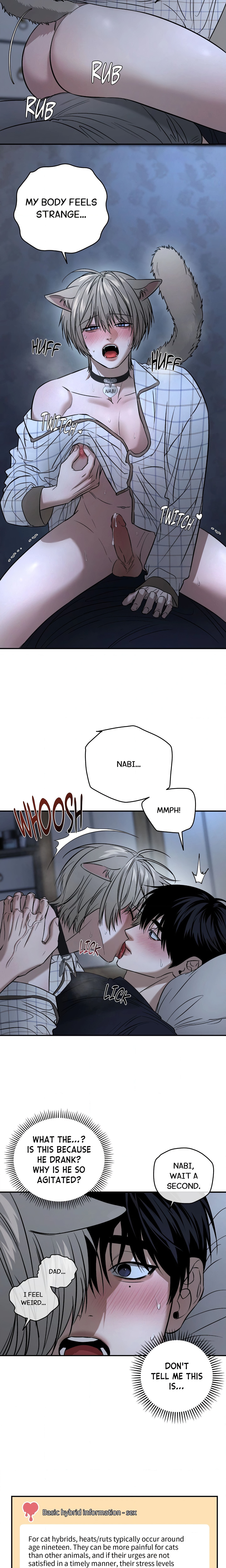 Feline Lucky (Uncensored) Page 17 - MangaHe