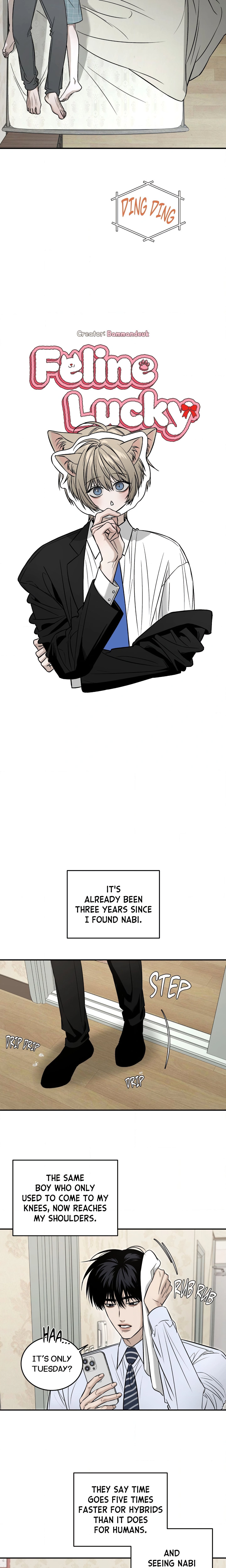Feline Lucky (Uncensored) Page 4 - MangaHe