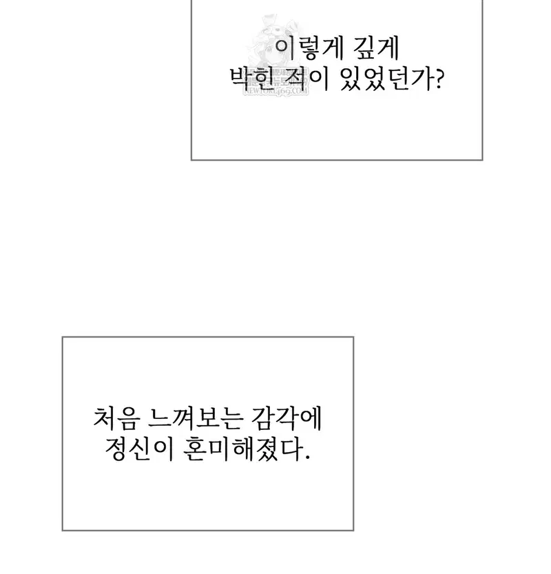 Slave Diary Raw Page 29 - MangaHe