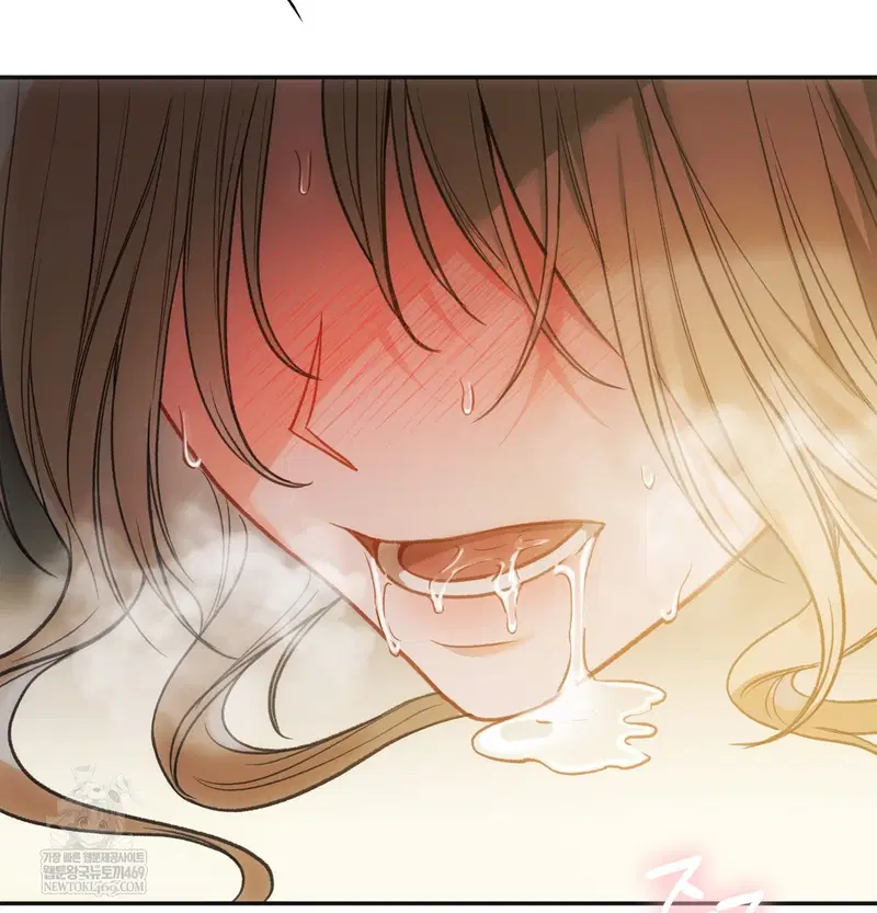 Slave Diary Raw Page 5 - MangaHe
