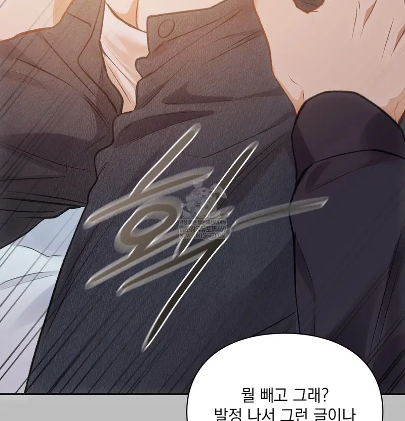 Slave Diary Raw Page 27 - MangaHe