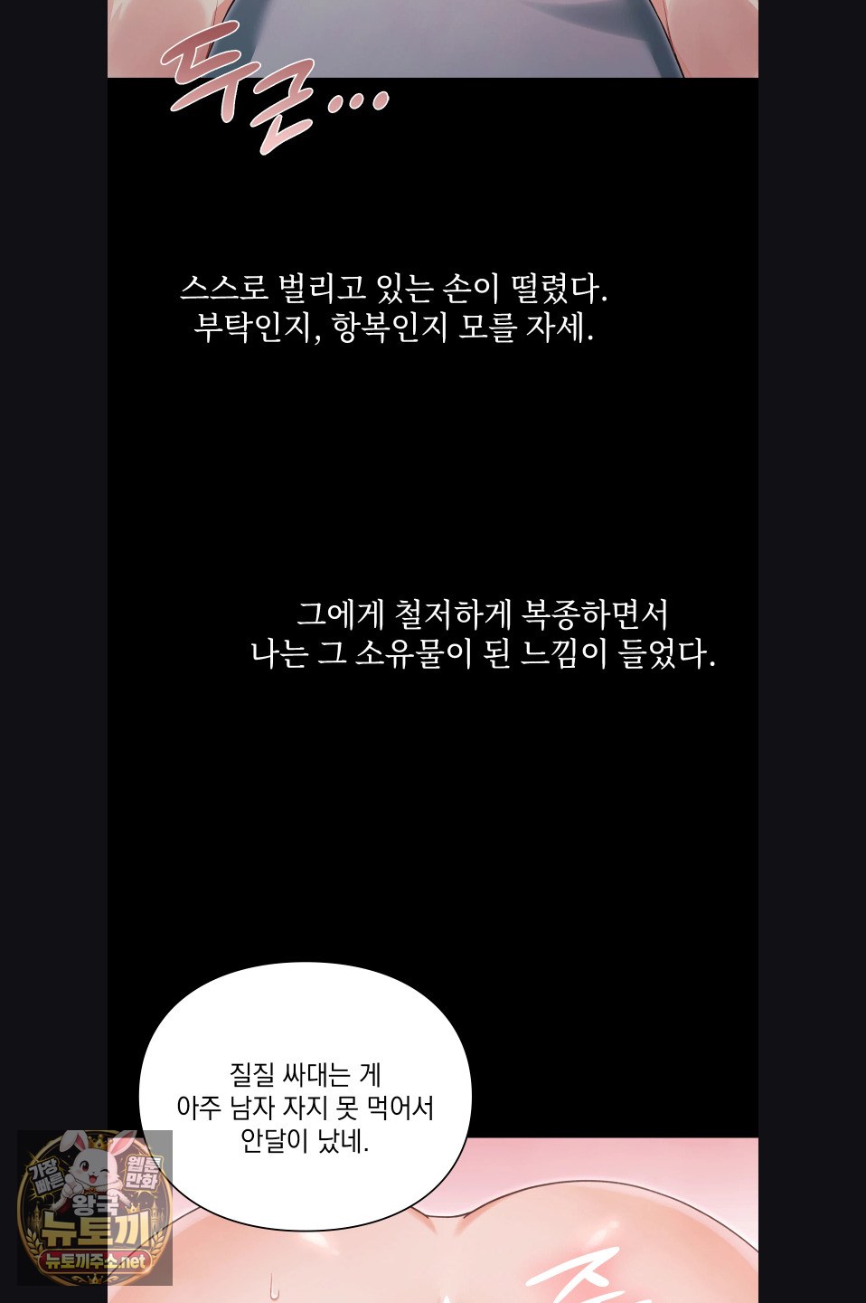 Slave Diary Raw Page 11 - MangaHe