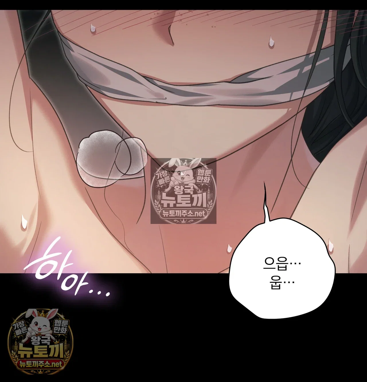 Slave Diary Raw Page 5 - MangaHe
