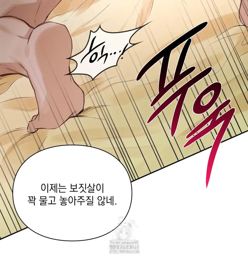 Slave Diary Raw Page 13 - MangaHe