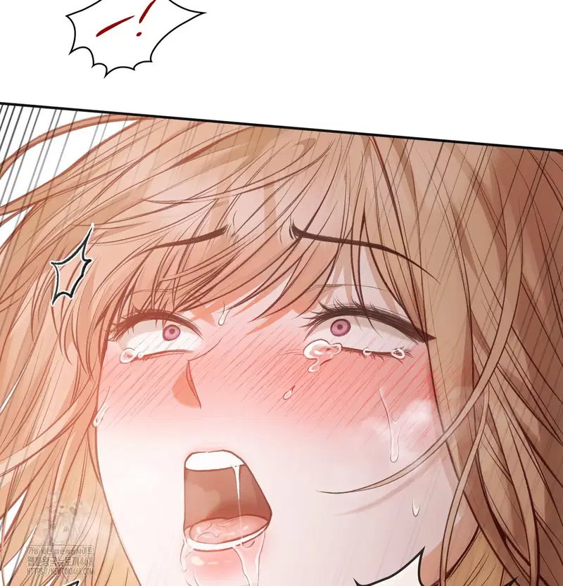 Slave Diary Raw Page 33 - MangaHe
