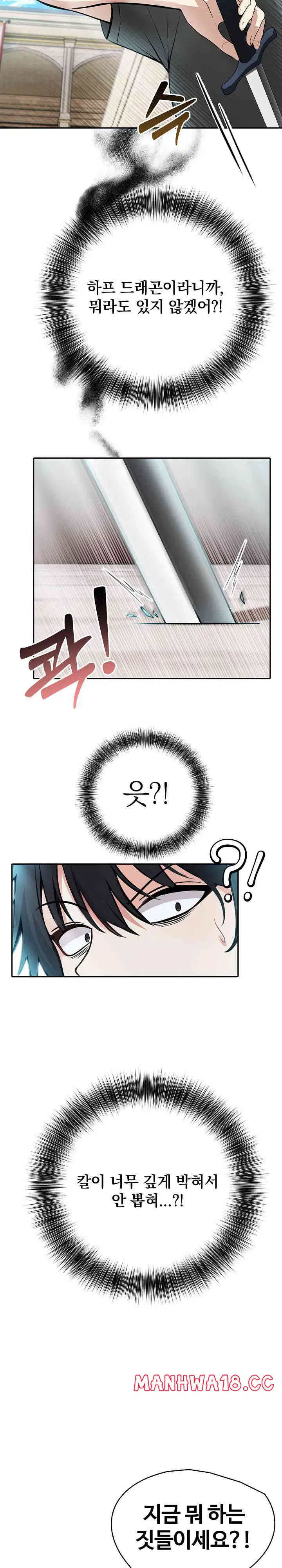 Isekai Dragondick Knight Commander Raw Page 24 - MangaHe