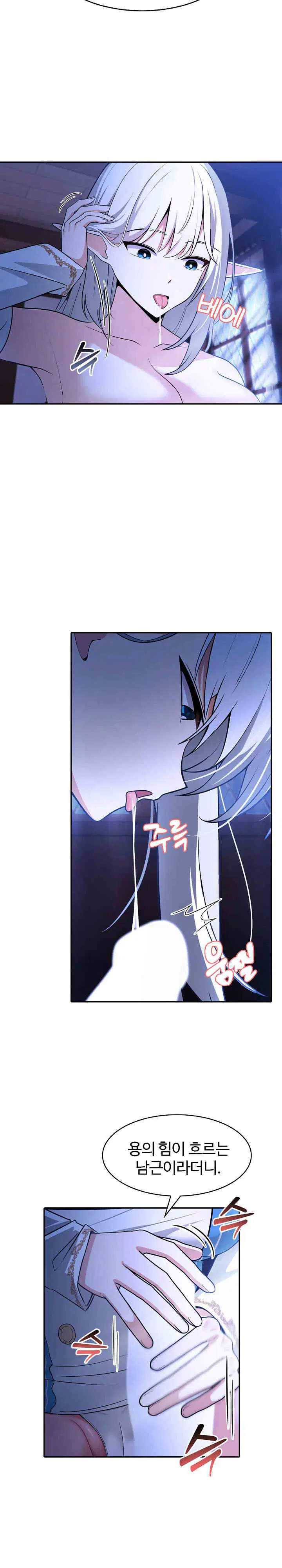 Isekai Dragondick Knight Commander Raw Page 5 - MangaHe