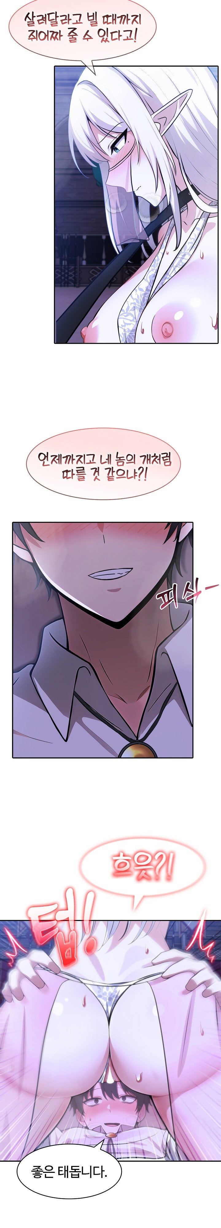 Isekai Dragondick Knight Commander Raw Page 8 - MangaHe