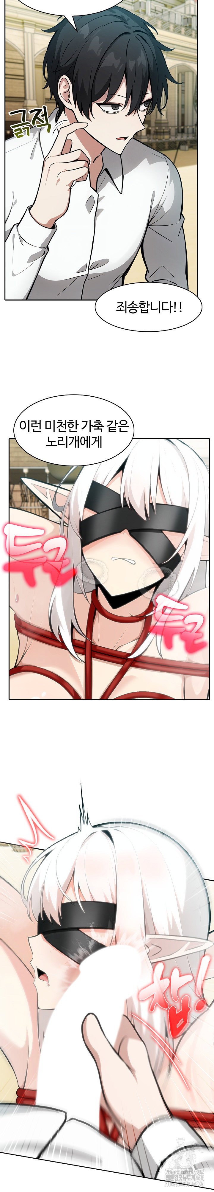 Isekai Dragondick Knight Commander Raw Page 12 - MangaHe