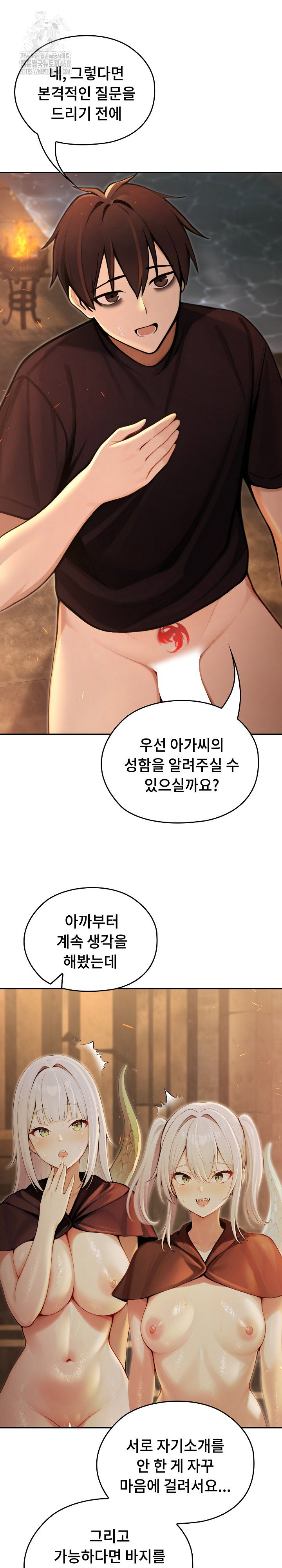 Isekai Dragondick Knight Commander Raw Page 14 - MangaHe