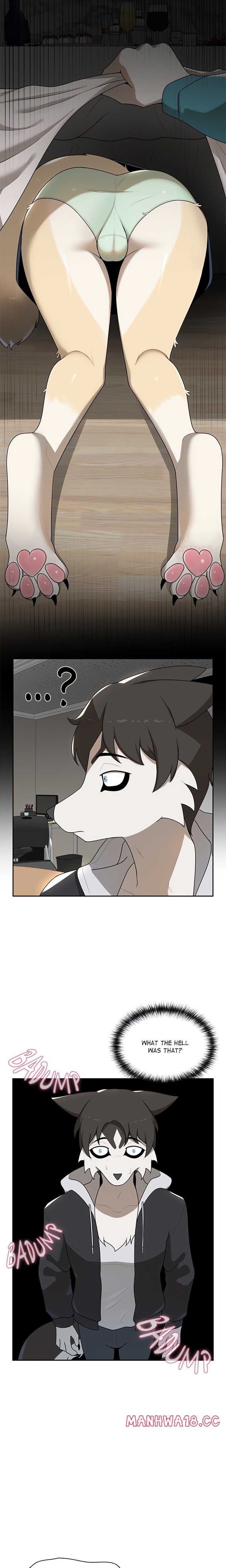 Paws on Campus Page 11 - MangaHe