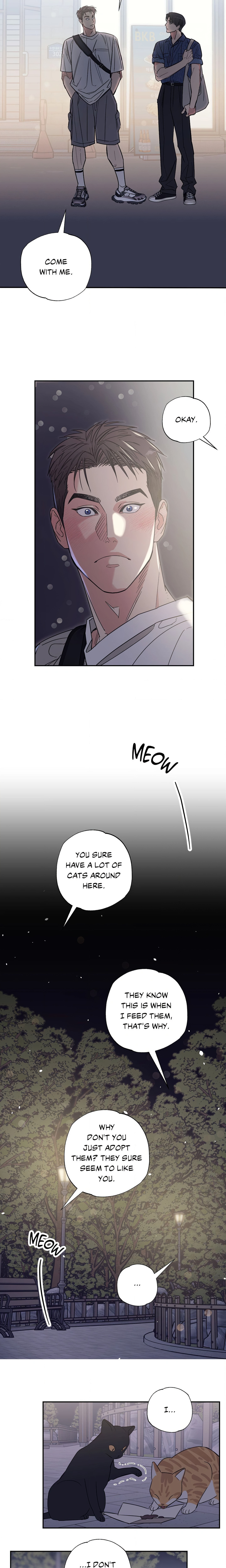 Purrfect Page 12 - MangaHe