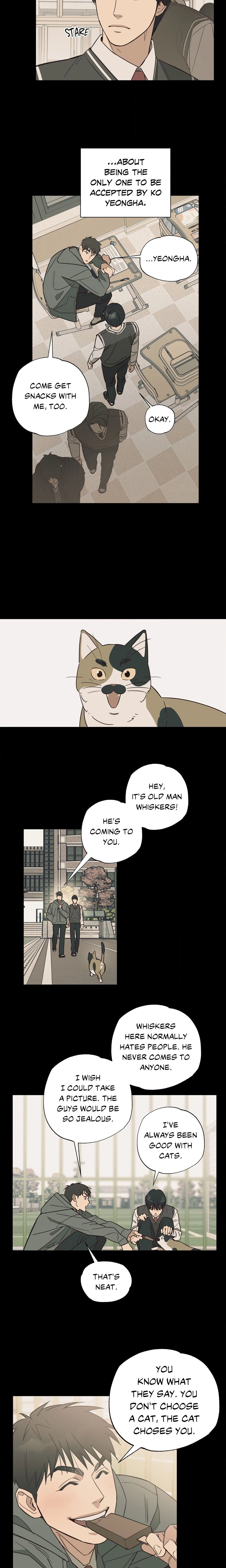 Purrfect Page 8 - MangaHe