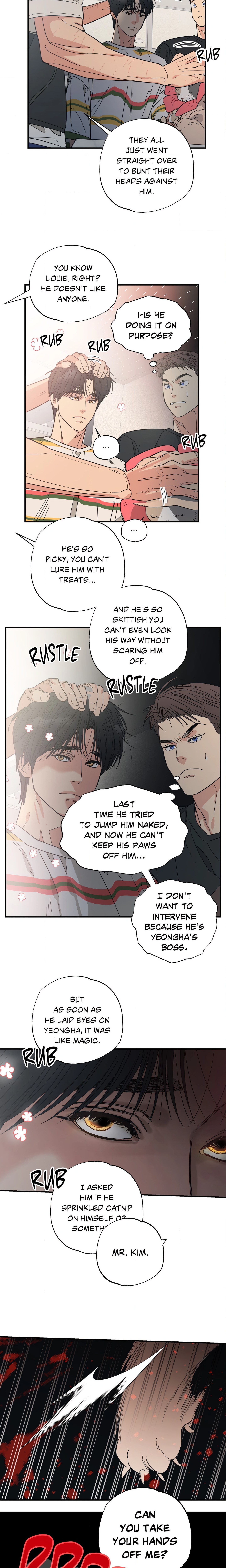 Purrfect Page 5 - MangaHe