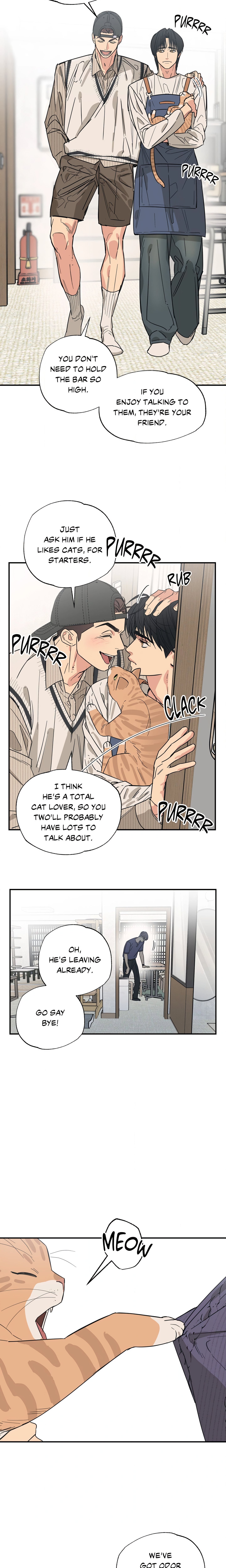 Purrfect Page 15 - MangaHe
