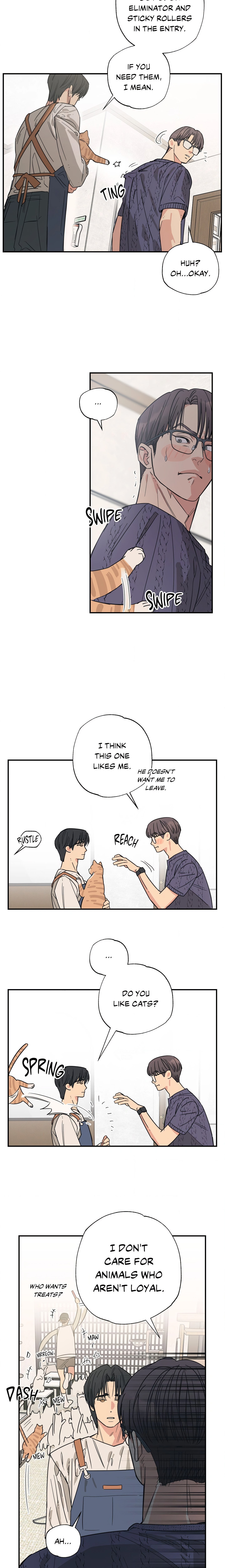 Purrfect Page 16 - MangaHe