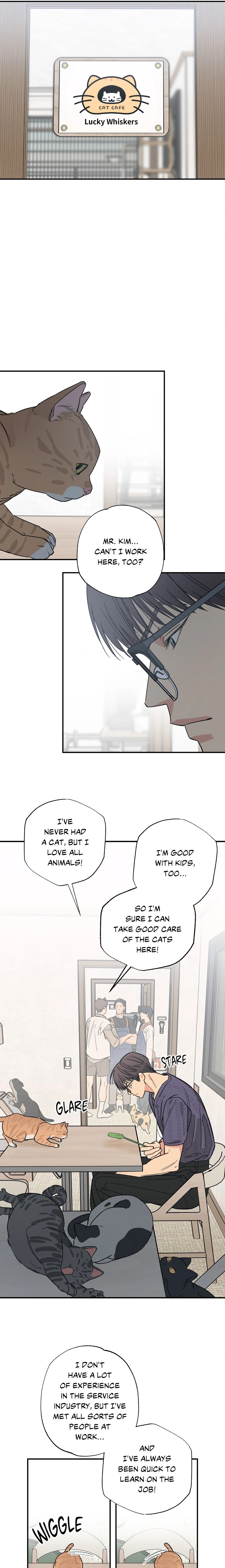 Purrfect Page 10 - MangaHe
