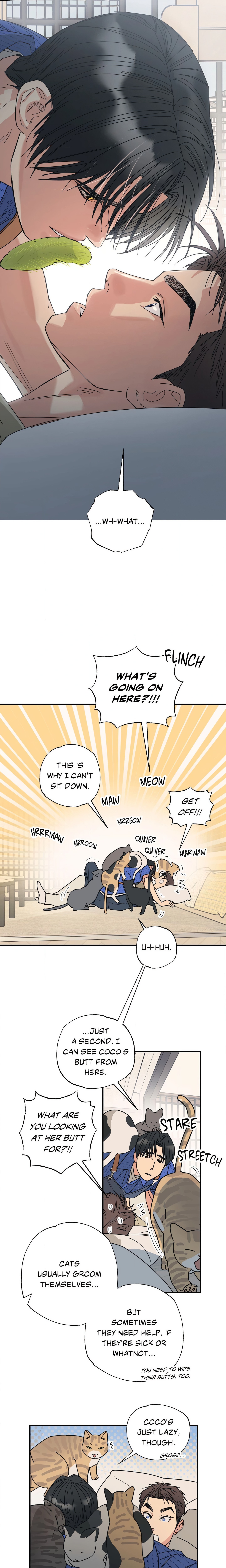 Purrfect Page 14 - MangaHe
