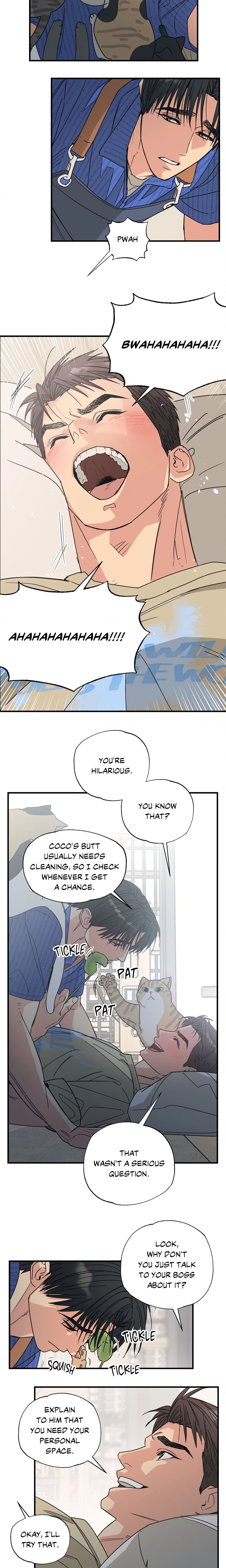 Purrfect Page 15 - MangaHe