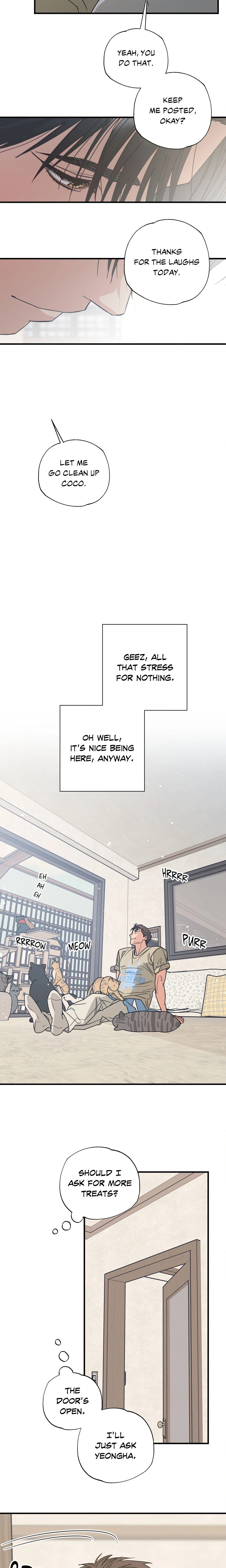 Purrfect Page 16 - MangaHe