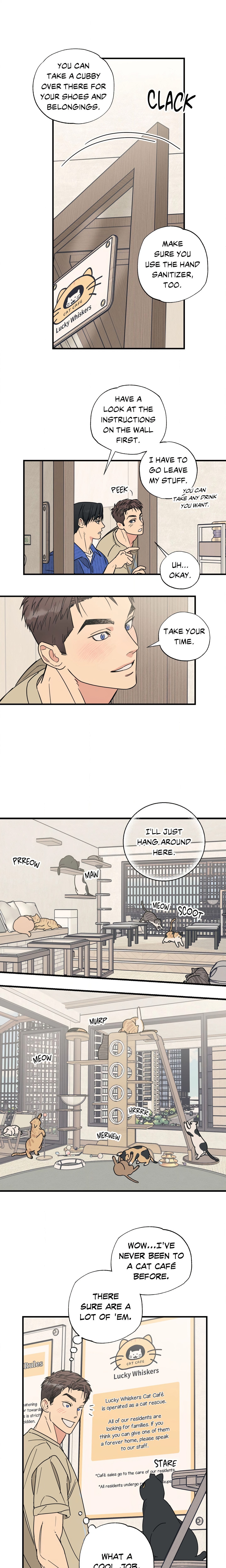 Purrfect Page 3 - MangaHe