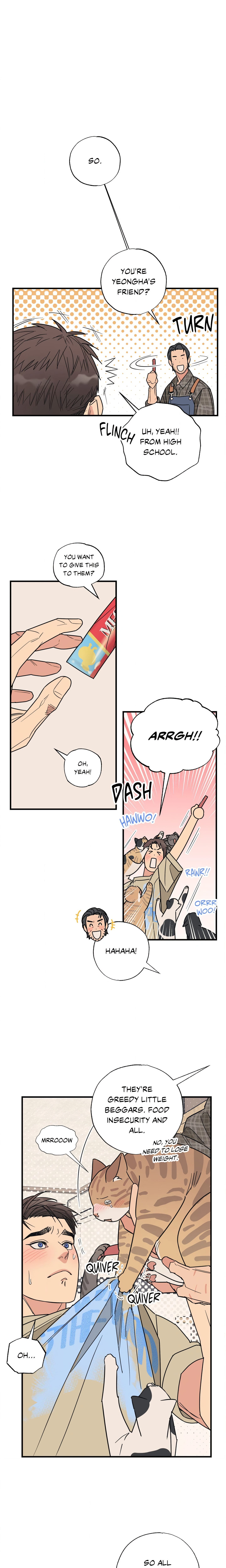 Purrfect Page 8 - MangaHe