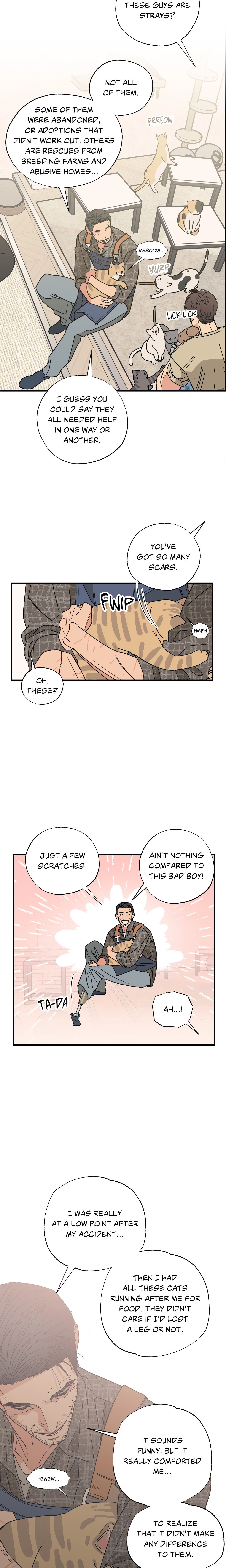 Purrfect Page 9 - MangaHe