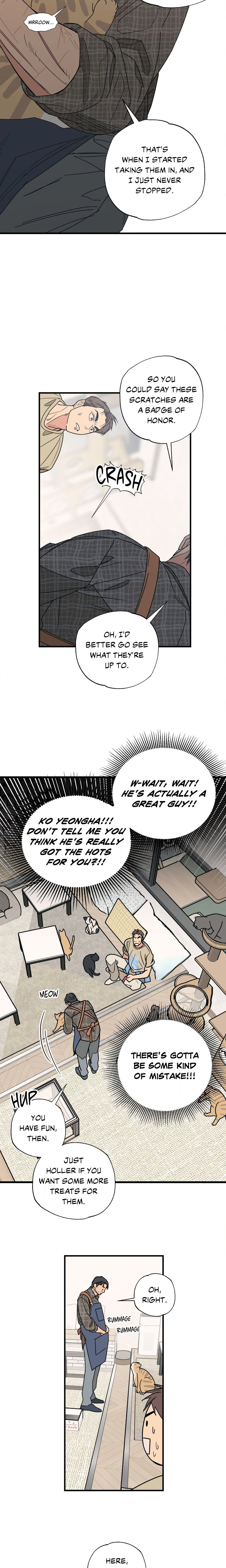 Purrfect Page 10 - MangaHe