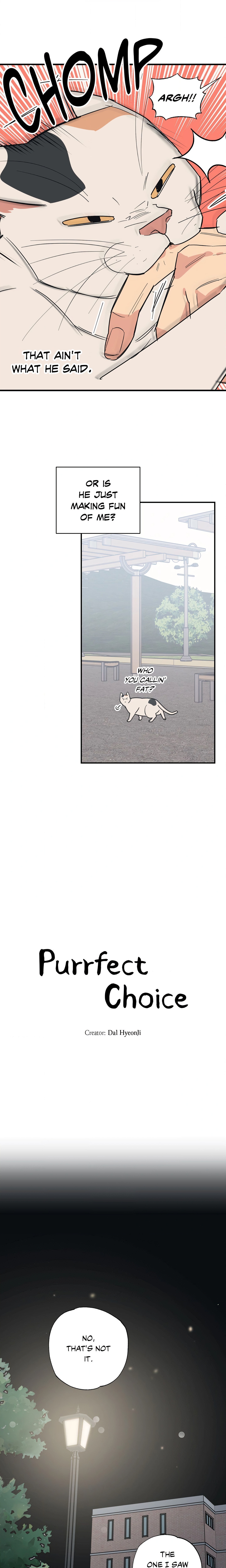 Purrfect Page 6 - MangaHe