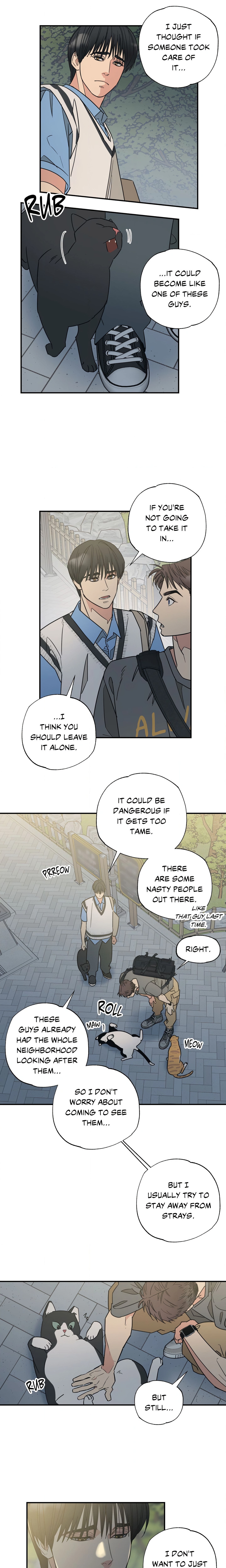 Purrfect Page 9 - MangaHe
