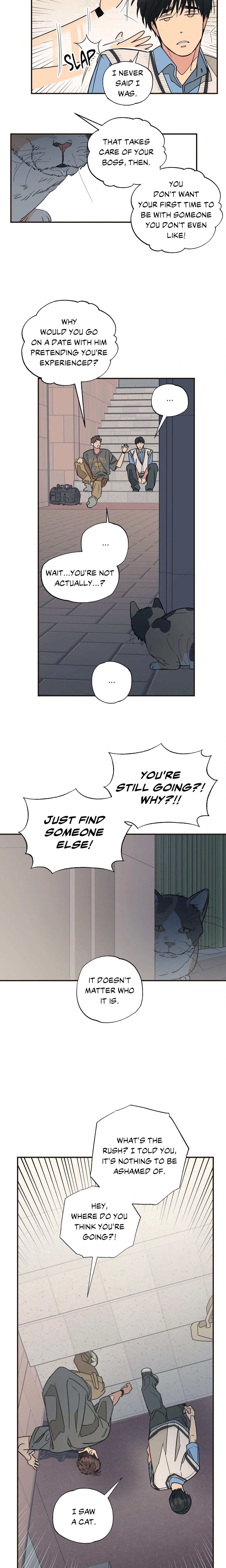 Purrfect Page 11 - MangaHe