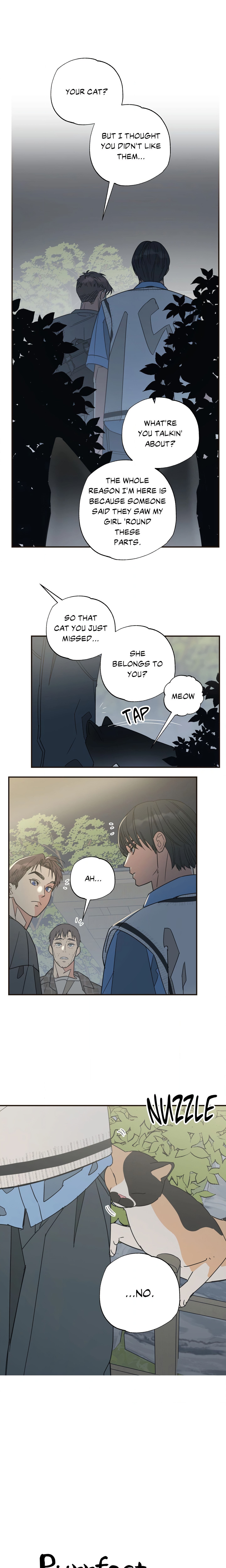 Purrfect Page 3 - MangaHe