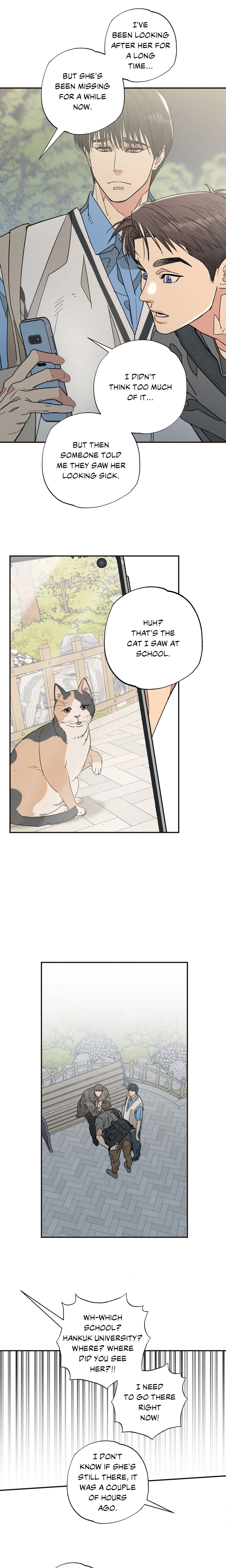 Purrfect Page 5 - MangaHe