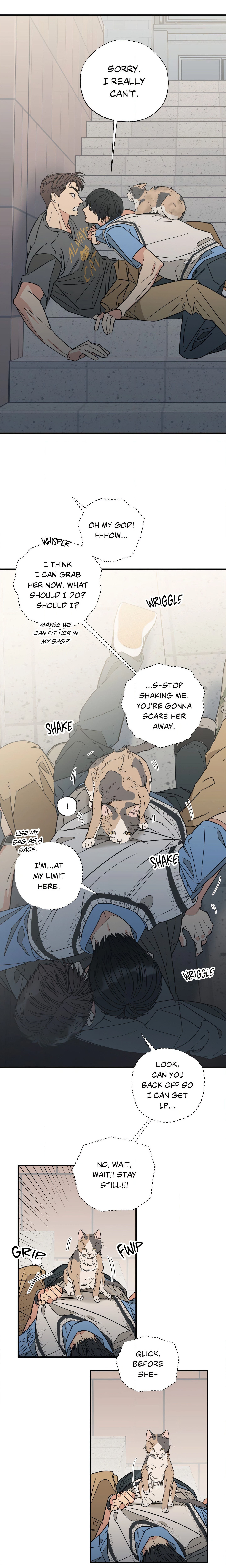 Purrfect Page 9 - MangaHe
