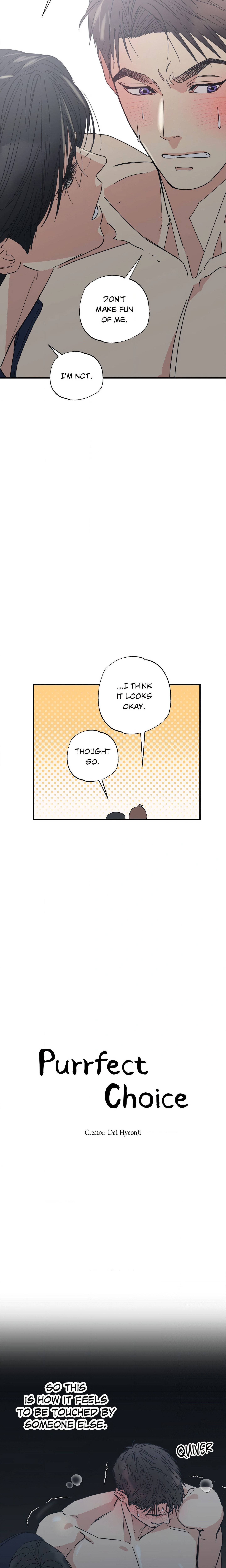 Purrfect Page 5 - MangaHe