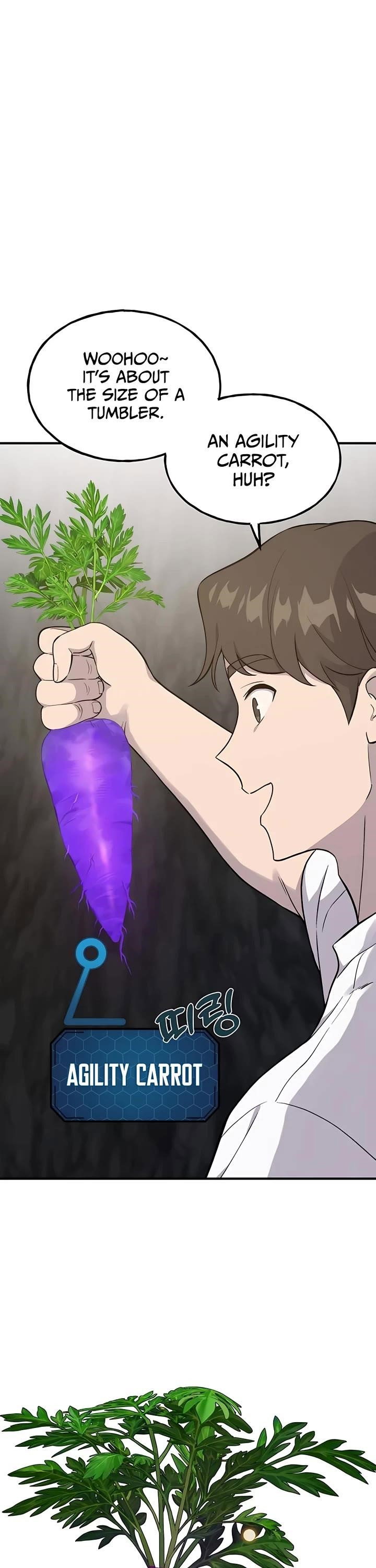 Solo Farming In The Tower Page 29 - MangaHe
