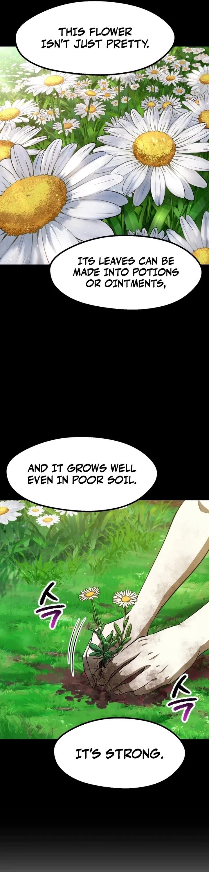 Survival Story of a Sword King in a Fantasy World Page 14 - MangaHe